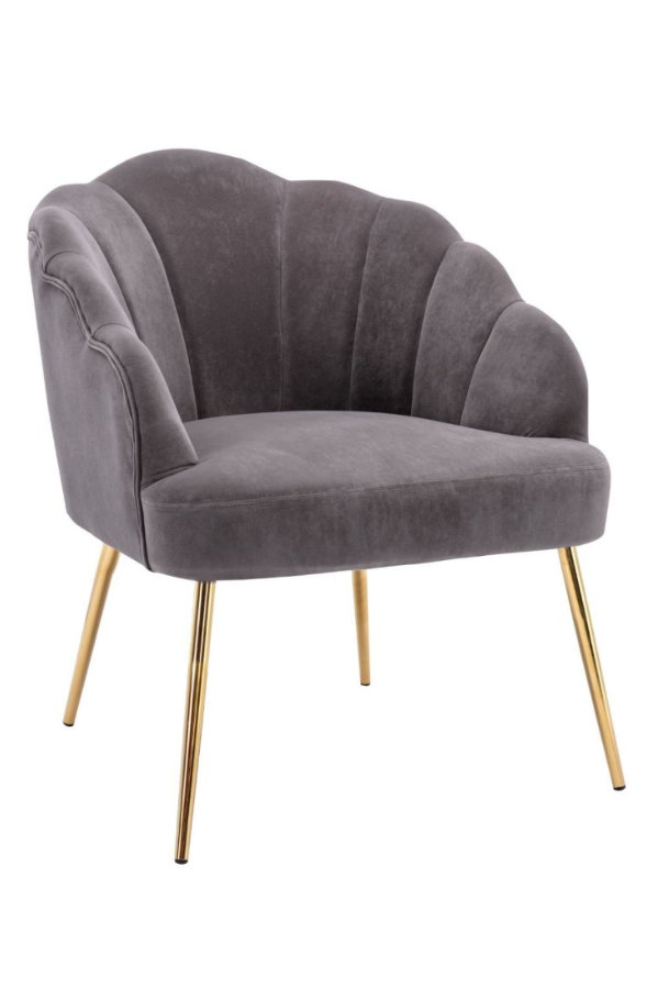 Vienna Velvet Accent Chair 2 Colours Gold Legs   Vienna 2 