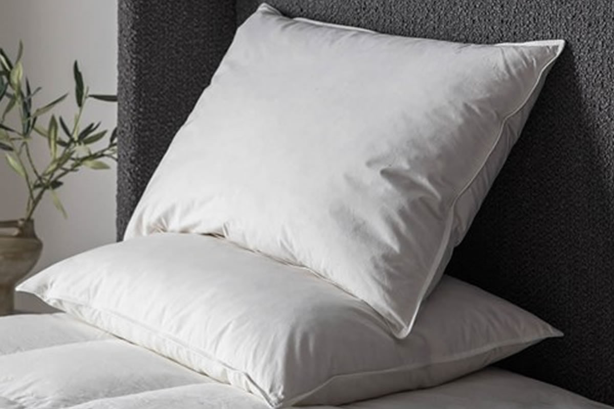 Hotel white feather shop pillow twin pack