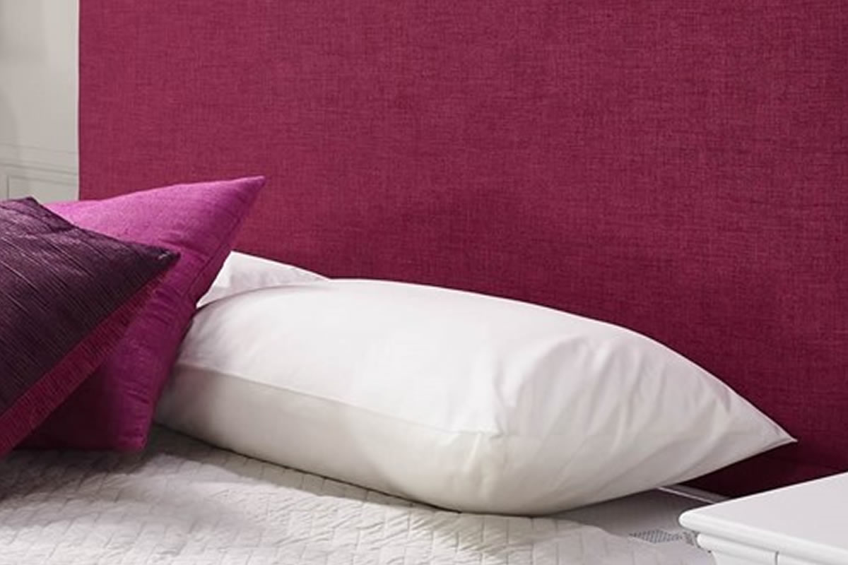 Duck feather and clearance down pillows review