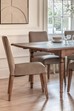 Highgrove Dove Velvet Dining Chair