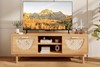 Manti TV Stand